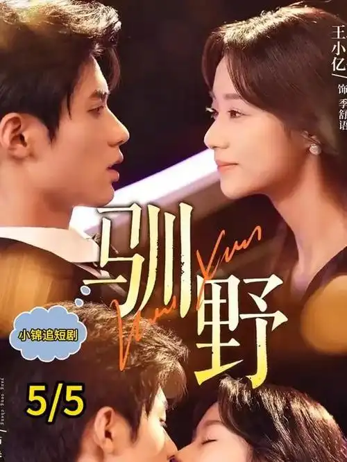 半城烟雨 职场剧全集免费观看